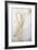 Study of Legs-Jacopo Carucci-Framed Giclee Print