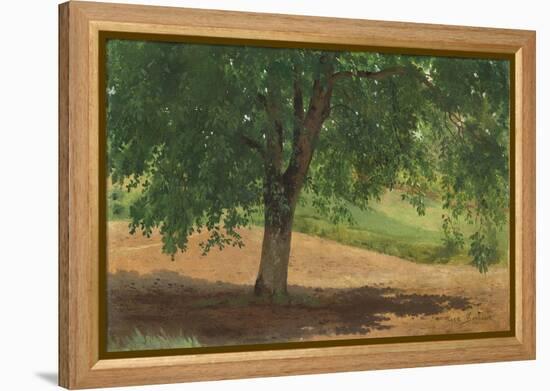 Study of Light and Shade (Oil on Card Laid Down on Canvas)-Rosa Bonheur-Framed Premier Image Canvas