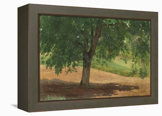 Study of Light and Shade (Oil on Card Laid Down on Canvas)-Rosa Bonheur-Framed Premier Image Canvas