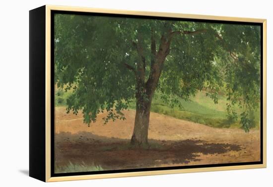 Study of Light and Shade (Oil on Card Laid Down on Canvas)-Rosa Bonheur-Framed Premier Image Canvas