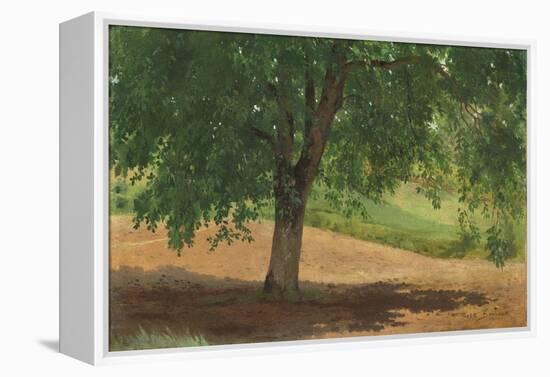 Study of Light and Shade (Oil on Card Laid Down on Canvas)-Rosa Bonheur-Framed Premier Image Canvas