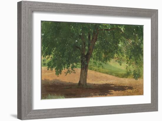 Study of Light and Shade (Oil on Card Laid Down on Canvas)-Rosa Bonheur-Framed Giclee Print