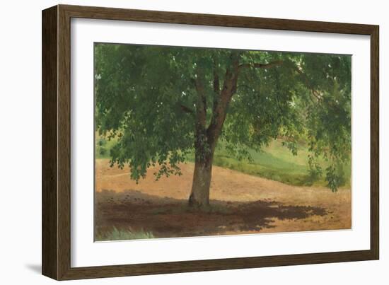 Study of Light and Shade (Oil on Card Laid Down on Canvas)-Rosa Bonheur-Framed Giclee Print