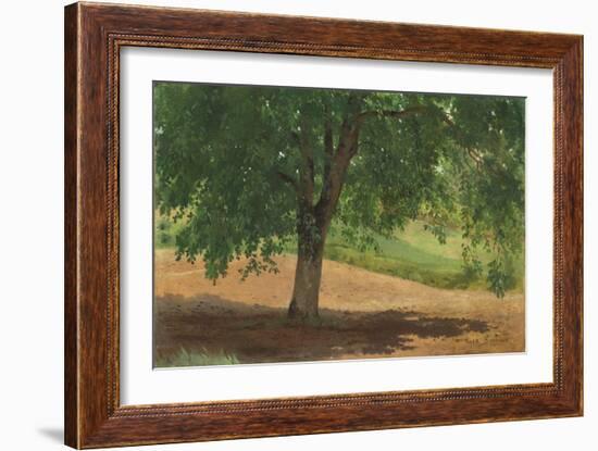 Study of Light and Shade (Oil on Card Laid Down on Canvas)-Rosa Bonheur-Framed Giclee Print