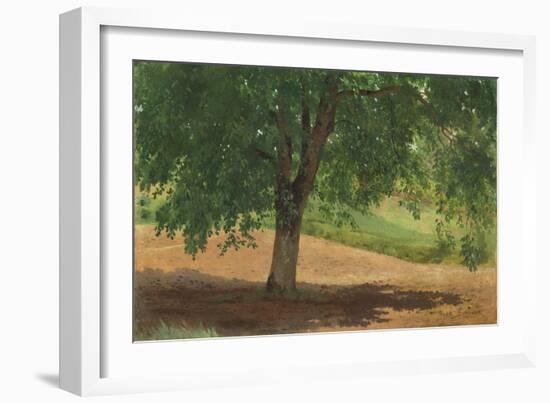 Study of Light and Shade (Oil on Card Laid Down on Canvas)-Rosa Bonheur-Framed Giclee Print