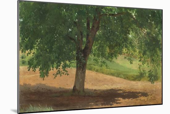 Study of Light and Shade (Oil on Card Laid Down on Canvas)-Rosa Bonheur-Mounted Giclee Print