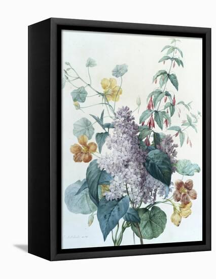 Study of Lilac, Capucine and Fuchsia-Pierre-Joseph Redouté-Framed Premier Image Canvas