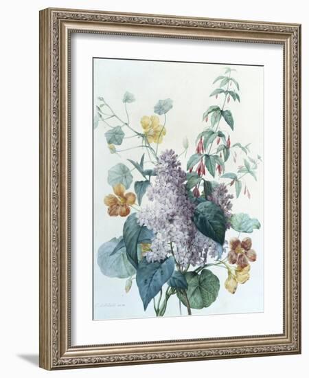 Study of Lilac, Capucine and Fuchsia-Pierre-Joseph Redouté-Framed Giclee Print