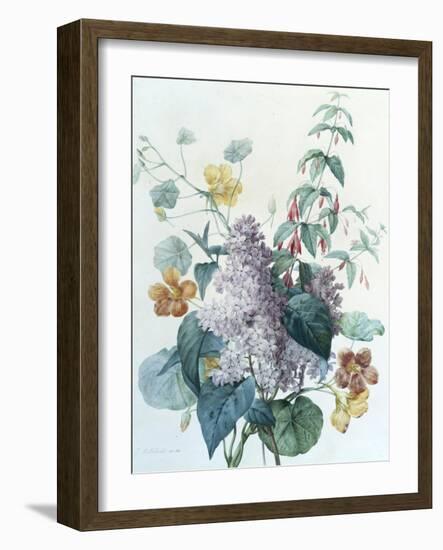 Study of Lilac, Capucine and Fuchsia-Pierre-Joseph Redouté-Framed Giclee Print