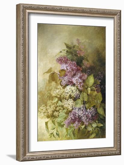 Study of Lilac-Claude Massman-Framed Giclee Print