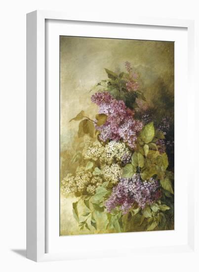 Study of Lilac-Claude Massman-Framed Giclee Print