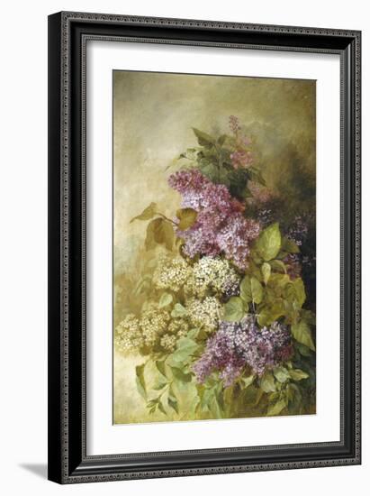 Study of Lilac-Claude Massman-Framed Giclee Print