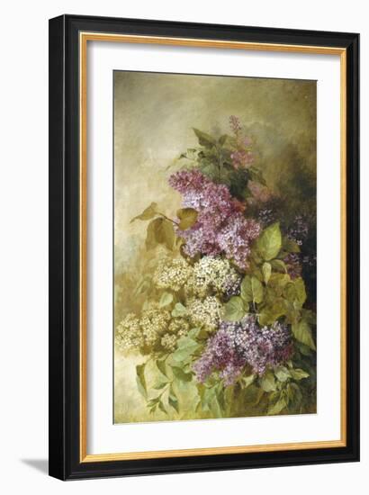 Study of Lilac-Claude Massman-Framed Giclee Print