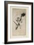 Study of Nude Female Figure, 1886-Paul Albert Besnard-Framed Giclee Print
