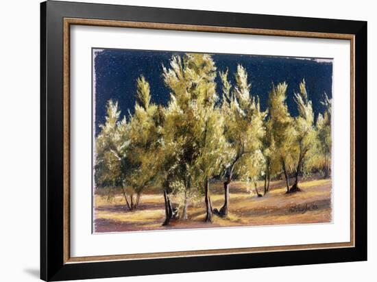 Study of Olive Trees, no.1-Helen J. Vaughn-Framed Giclee Print