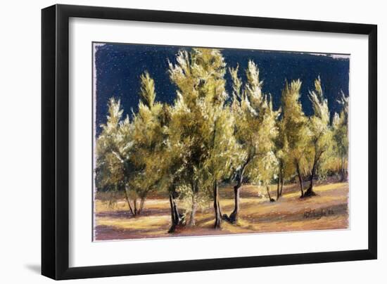 Study of Olive Trees, no.1-Helen J. Vaughn-Framed Giclee Print