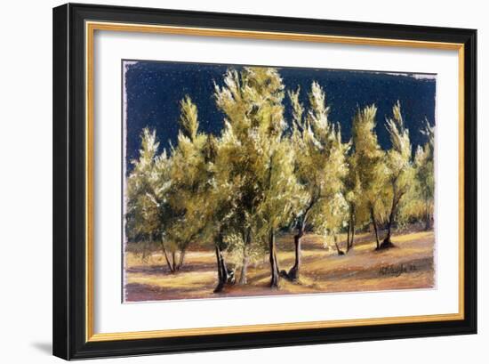 Study of Olive Trees, no.1-Helen J. Vaughn-Framed Giclee Print