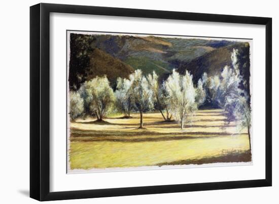 Study of Olive Trees, no.2-Helen J. Vaughn-Framed Giclee Print