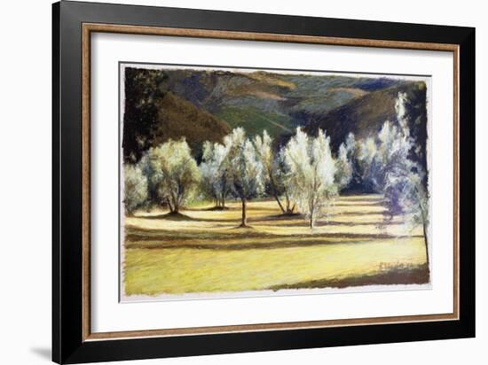 Study of Olive Trees, no.2-Helen J. Vaughn-Framed Giclee Print