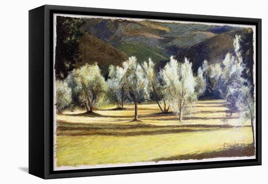 Study of Olive Trees, no.2-Helen J. Vaughn-Framed Premier Image Canvas