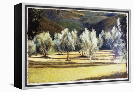 Study of Olive Trees, no.2-Helen J. Vaughn-Framed Premier Image Canvas