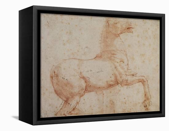 Study of One of the Quirinal Marble Horses, C.1515-17-Raphael-Framed Premier Image Canvas