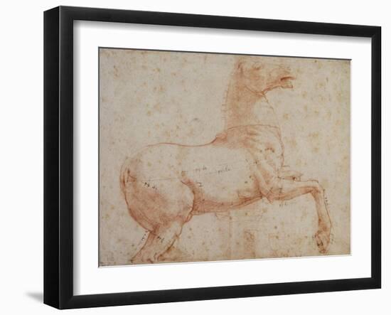 Study of One of the Quirinal Marble Horses, C.1515-17-Raphael-Framed Giclee Print