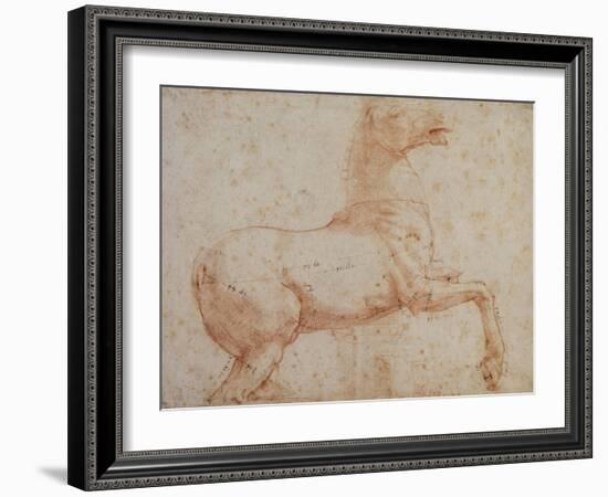 Study of One of the Quirinal Marble Horses, C.1515-17-Raphael-Framed Giclee Print