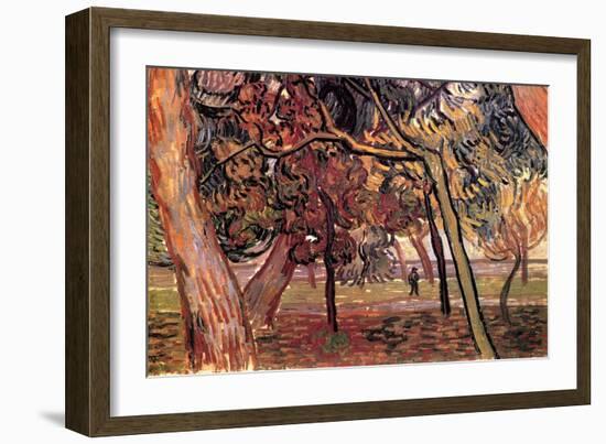 Study of Pine Trees-Vincent van Gogh-Framed Art Print