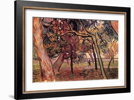 Study of Pine Trees-Vincent van Gogh-Framed Art Print