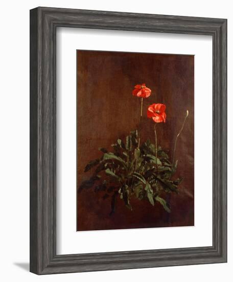 Study of Poppies-John Constable-Framed Giclee Print