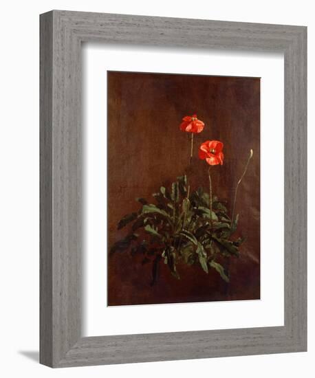 Study of Poppies-John Constable-Framed Giclee Print