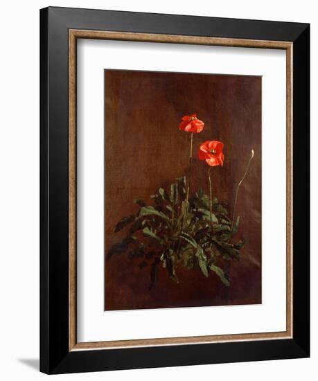 Study of Poppies-John Constable-Framed Giclee Print