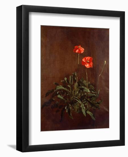 Study of Poppies-John Constable-Framed Giclee Print