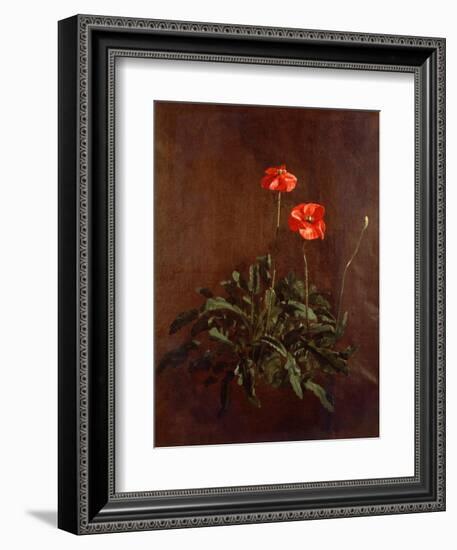 Study of Poppies-John Constable-Framed Giclee Print