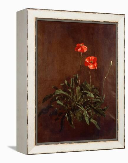 Study of Poppies-John Constable-Framed Premier Image Canvas