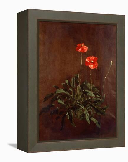 Study of Poppies-John Constable-Framed Premier Image Canvas