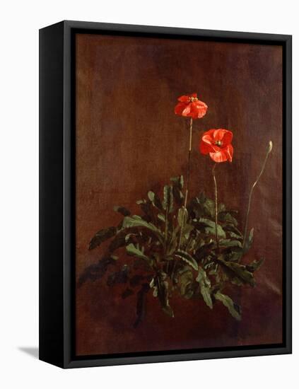 Study of Poppies-John Constable-Framed Premier Image Canvas