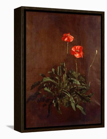 Study of Poppies-John Constable-Framed Premier Image Canvas