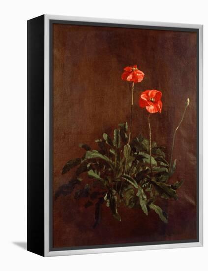 Study of Poppies-John Constable-Framed Premier Image Canvas