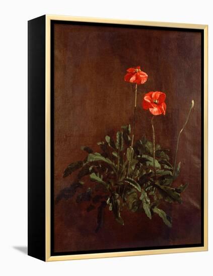 Study of Poppies-John Constable-Framed Premier Image Canvas