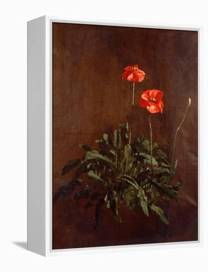 Study of Poppies-John Constable-Framed Premier Image Canvas