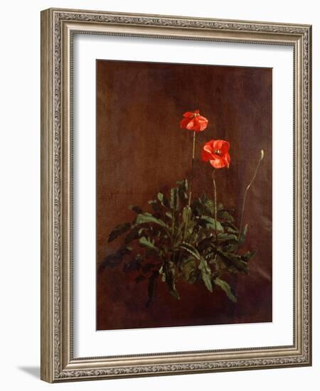 Study of Poppies-John Constable-Framed Giclee Print