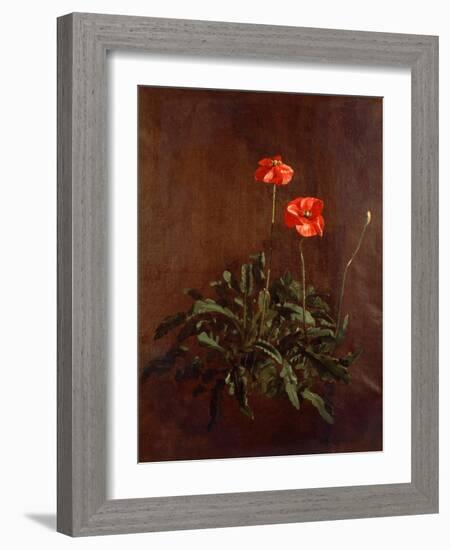 Study of Poppies-John Constable-Framed Giclee Print