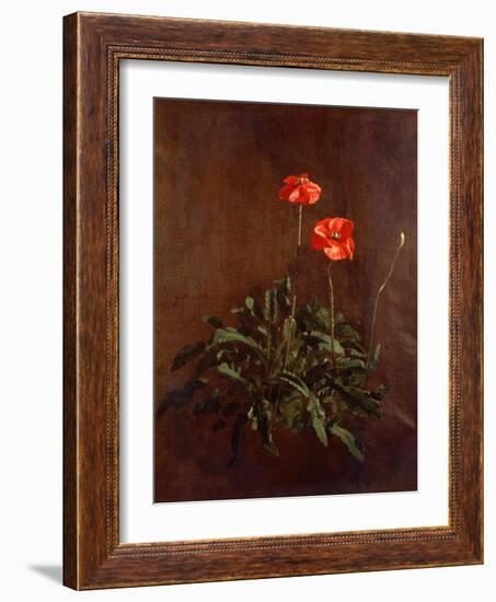 Study of Poppies-John Constable-Framed Giclee Print