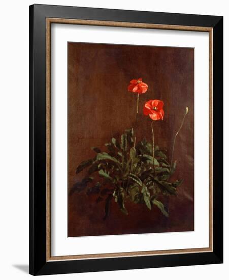 Study of Poppies-John Constable-Framed Giclee Print