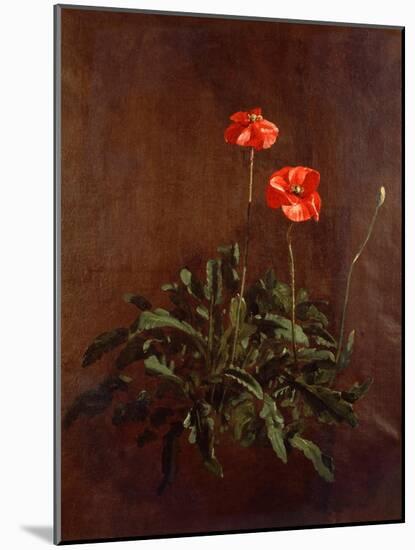 Study of Poppies-John Constable-Mounted Giclee Print