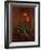 Study of Poppies-John Constable-Framed Giclee Print