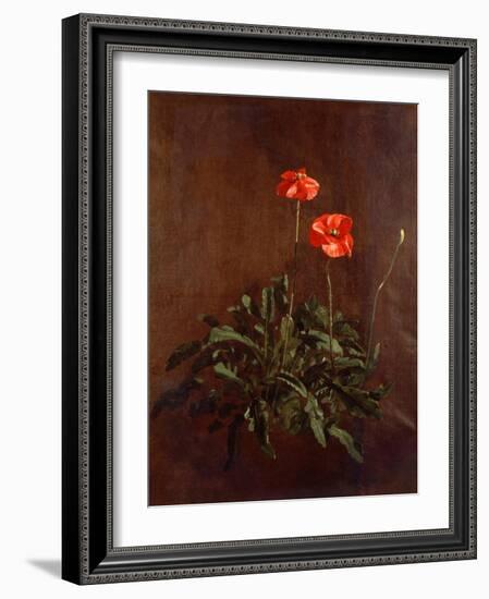 Study of Poppies-John Constable-Framed Giclee Print