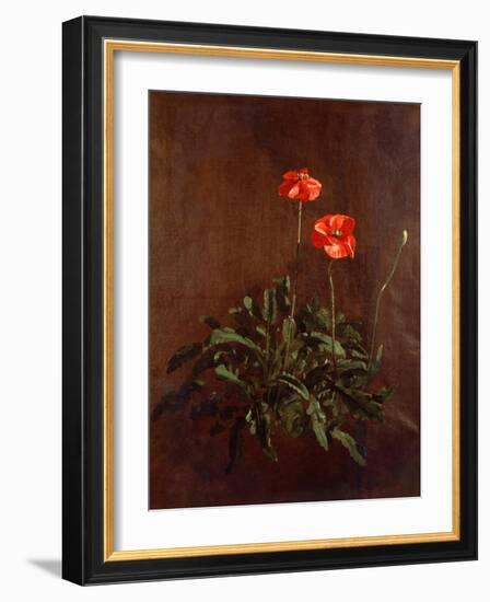 Study of Poppies-John Constable-Framed Giclee Print